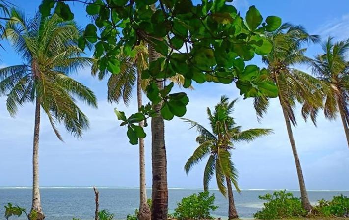 Sol Y Mar Beach Resort ゼネラル・ルナ エクステリア 写真